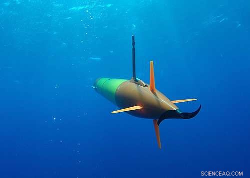 Self-Driving Robots Sample Ocean Water, Capturing Microbial Snapshots