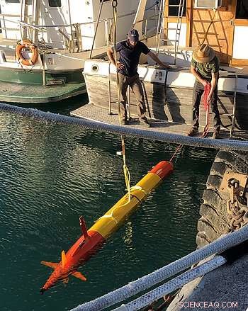 Self-Driving Robots Sample Ocean Water, Capturing Microbial Snapshots