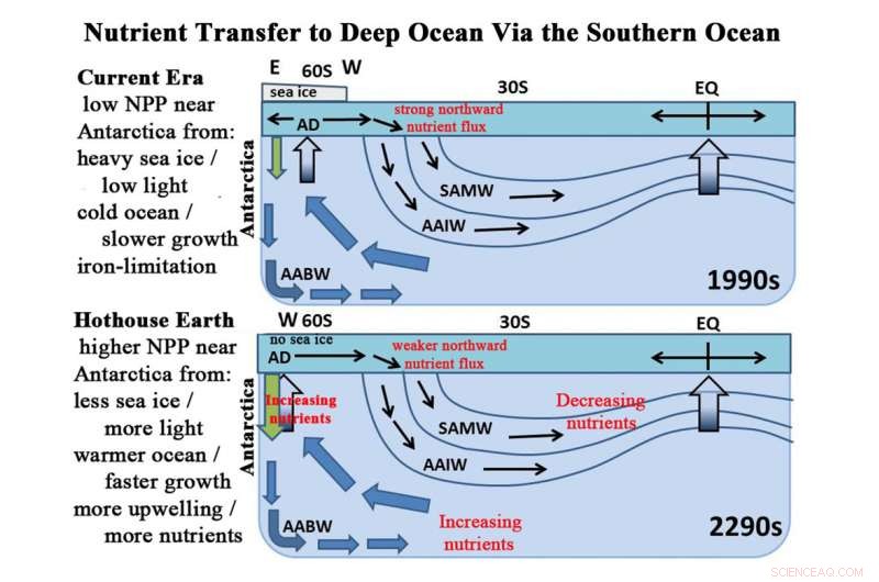 Study Projects 20% Decline in Global Fishery Yields by 2300