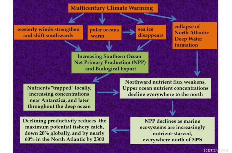 Study Projects 20% Decline in Global Fishery Yields by 2300
