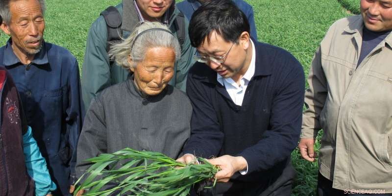 China’s Agricultural Sustainability Initiative Engages 20.9 Million Smallholder Farmers