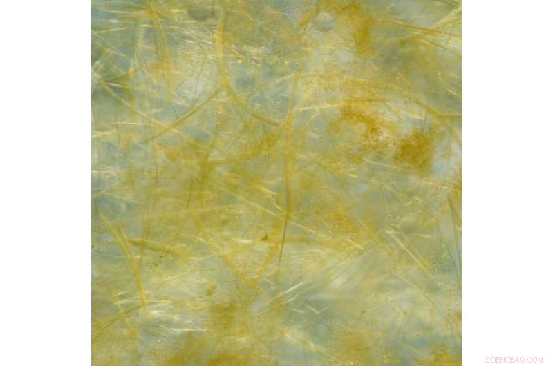 Validating Copernicus Sentinel Data: A Scientific Voyage Across the Southern Ocean