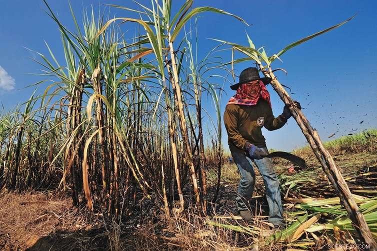 Lego’s Plant‑Based Plastic Toys May Not Be the Green Solution They Promise