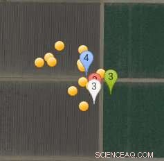 New Algorithm Promises to Automate Hand-Picked Crop Harvesting