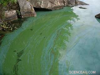 Climate Change and Your Health: Understanding the Rising Risks