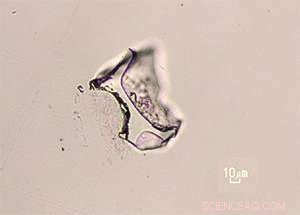 Surviving the Toba Super‑Volcano: How 74,000‑Year‑Old Eruption Shaped Human Life in South Africa