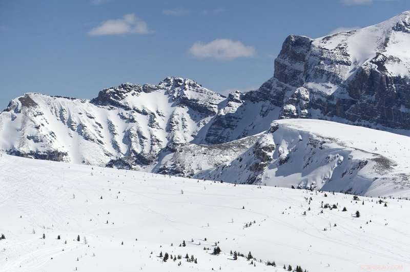 North America Receives More Snow Annually Than Previously Estimated, Study Reveals