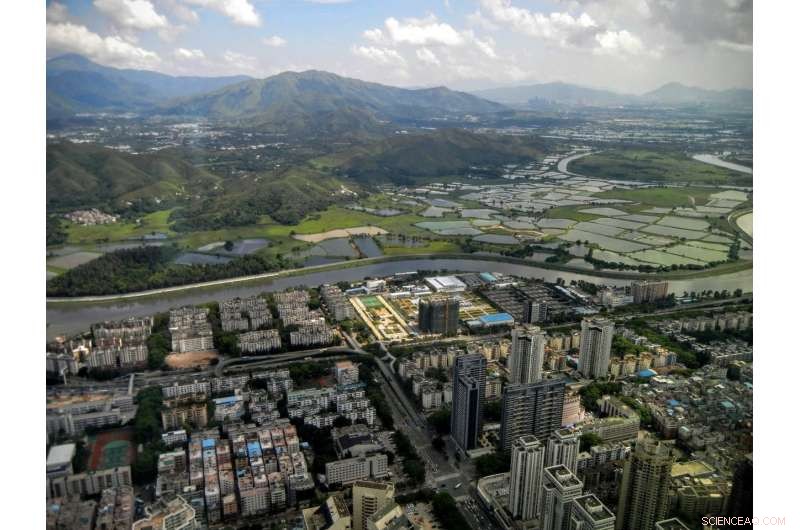 The Hidden Hydrological Backbone of the World s Largest Cities