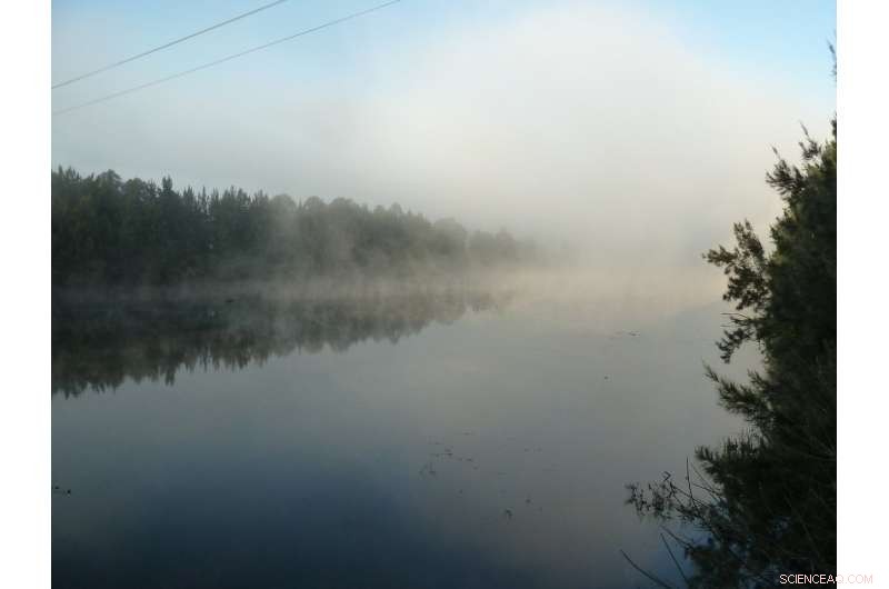 Many of Us Consume Recycled Sewage Water: A Hidden Reality