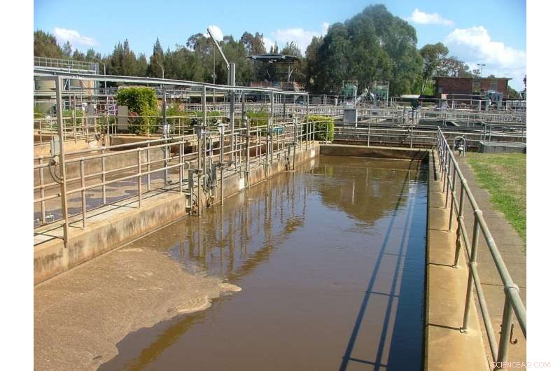Many of Us Consume Recycled Sewage Water: A Hidden Reality
