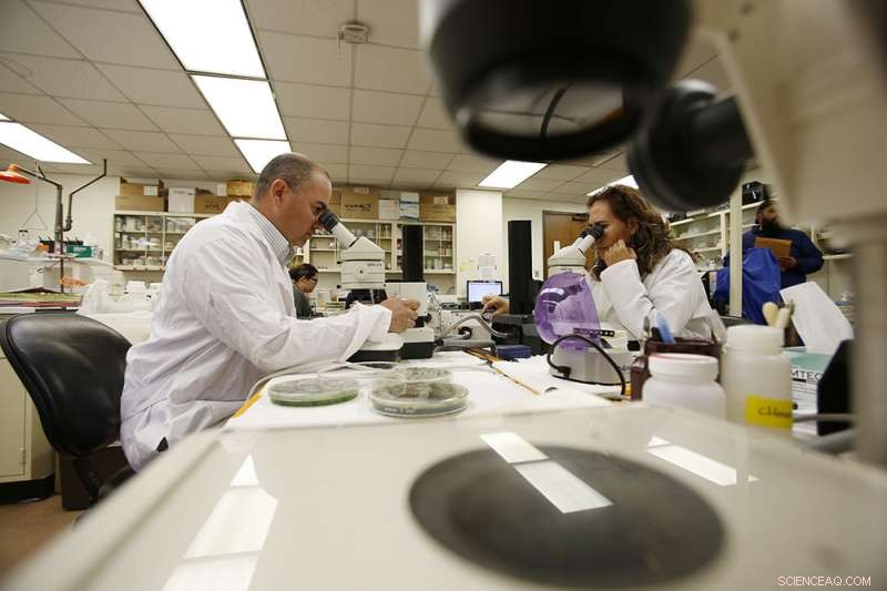 Scientists Reveal How Wind Transports Microinvertebrates Across Desert Landscapes