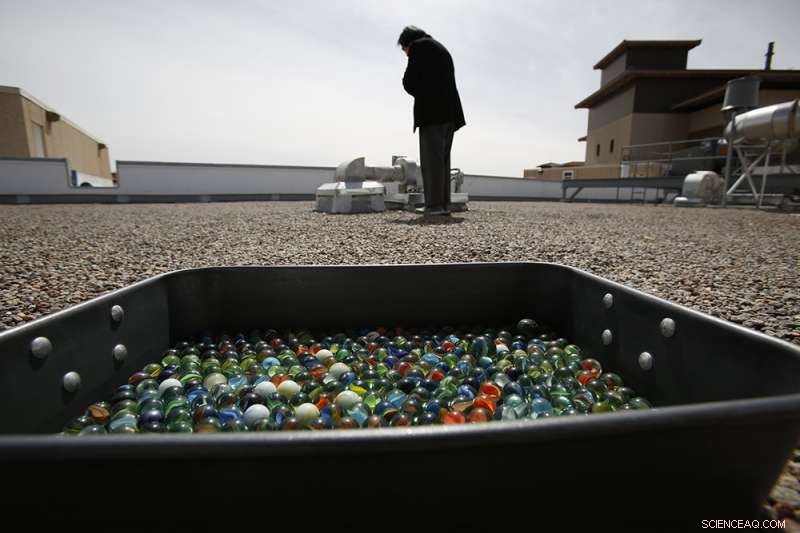 Scientists Reveal How Wind Transports Microinvertebrates Across Desert Landscapes