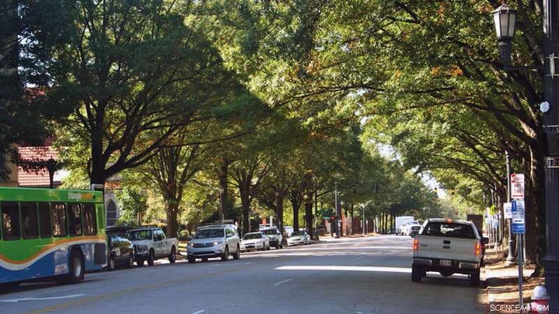 Water Deficit: The Primary Threat to Urban Trees