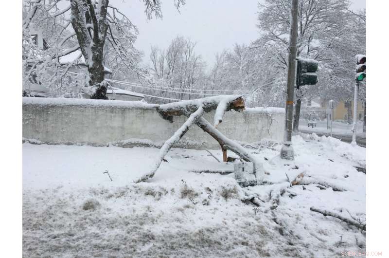 Arctic Warming Triggers More Severe Winters in Northeast US, New Study Finds