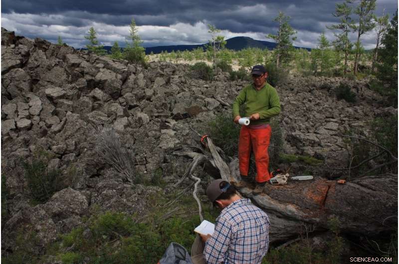 Mongolia s Droughts: A Century-Long Analysis of Past, Present, and Future Trends