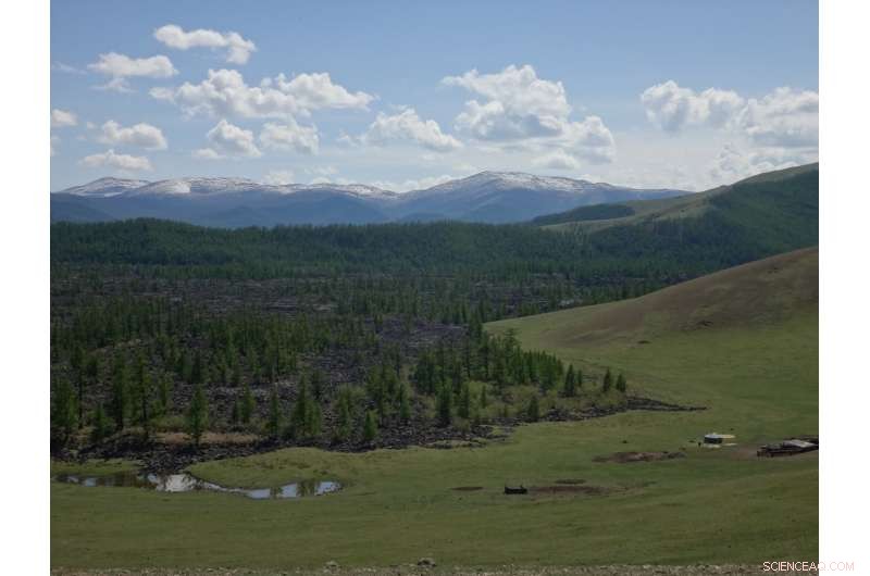 Mongolia s Droughts: A Century-Long Analysis of Past, Present, and Future Trends