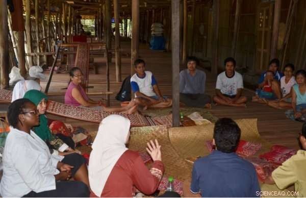 Cash Incentives Drive Sustainable Conservation of Tropical Forests