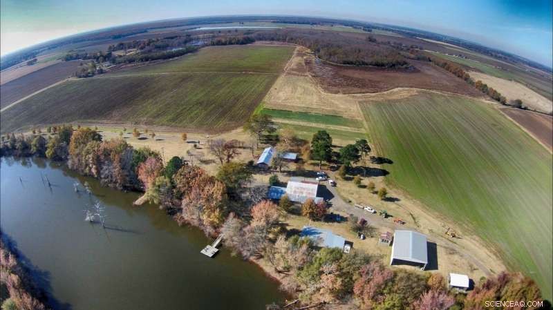 Unlocking Soil Microbes: Boosting Sustainability in Modern Farming