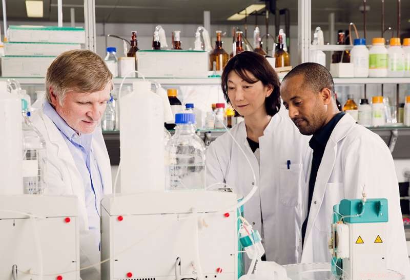 Effective Decomposition of Toxic Compounds in Drinking Water Systems