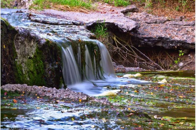 Chaotic Currents Offer New Hope for Removing Nitrate from Streams, Study Finds