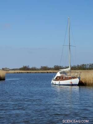 Cost-Effective Solution for Harmful Algal Blooms Promises Economic & Environmental Gains