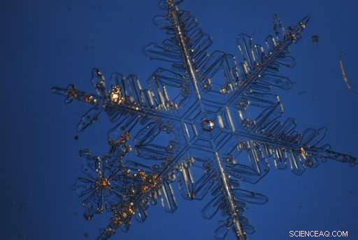 Snow Science Reveals How Crystal Structures Signal Climate Change and Impact Watersheds