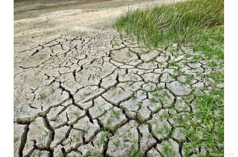 Enhancing Climate Sensitivity Forecasts: Reducing Uncertainty in Climate Change Predictions