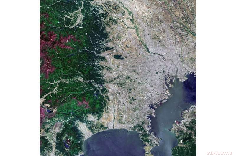 Tokyo From Orbit: A Stunning Satellite View by Copernicus Sentinel-2A