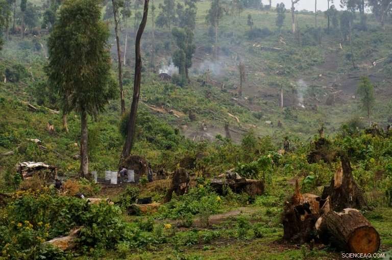 UN Forest Initiatives Risk Displacing Indigenous Communities