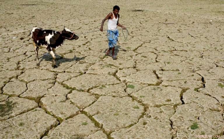 Brazil Leads Global Water Conference Tackling Worldwide Water Challenges