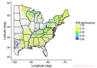 Soil Fungi: Key Indicators of Forest Resilience to Environmental Change