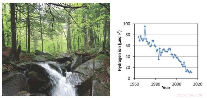 Long‑Term Monitoring: The Key to Effective Environmental Policy