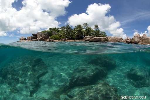 Seychelles Coral Reefs Under Threat from Climate Change: A Call for Conservation