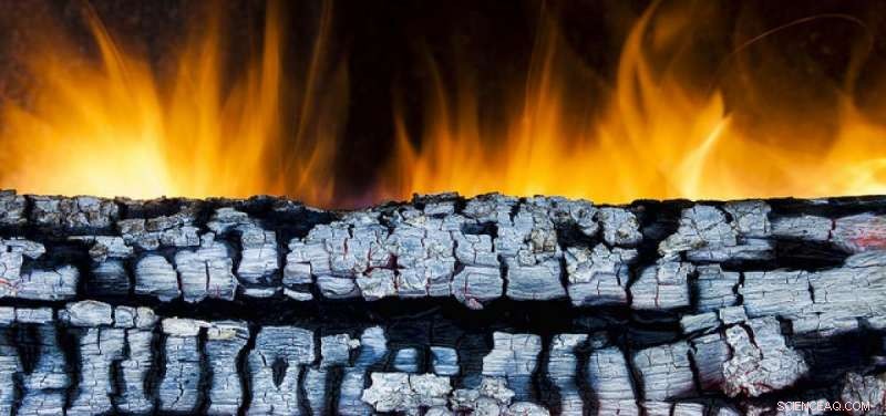 Turn Fireplace Ash into Garden Fertilizer: Easy, Eco‑Friendly Steps
