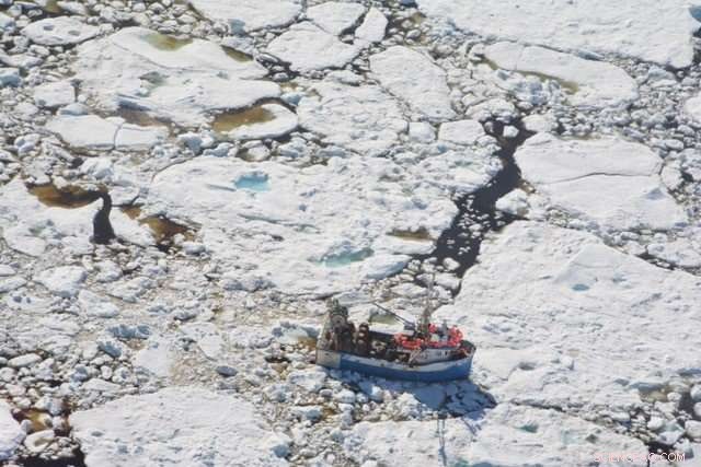 Arctic Sea Ice Surge Threatens North Atlantic Shipping in Spring