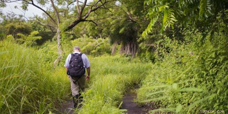 Tropical Dry Forests and Climate Change: Findings from Santa Rosa National Park Monitoring