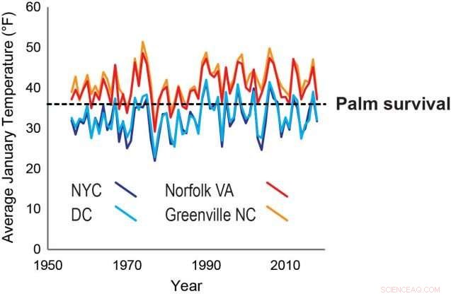 Northward Spread of Palm Trees: Predicting Their Future Reach
