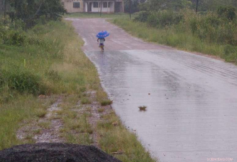 How Climate Change Research Sheds Light on the Future of Infectious Diseases