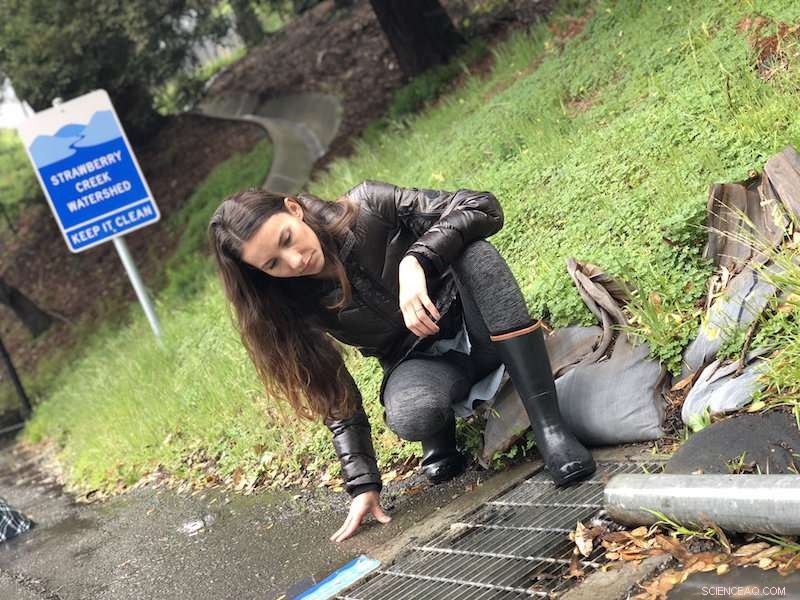 How Climate Change Impacts California Watersheds: Insights and Implications