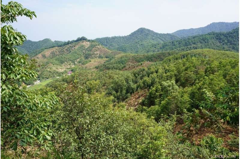 New Insights into Tree Coexistence from the Largest Biodiversity Experiment