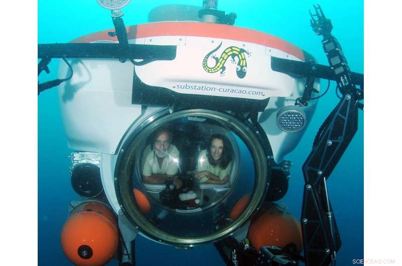 Scientists Identify New Oceanic Zone: The Rariphotic