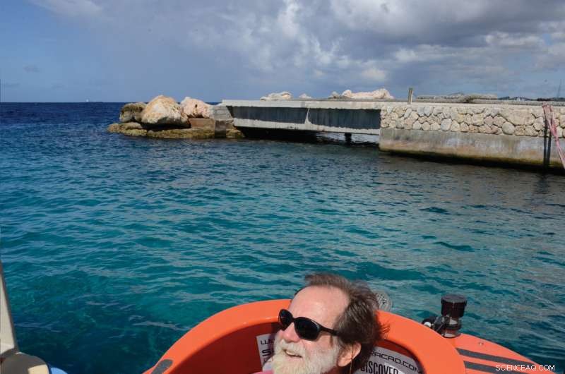 Scientists Identify New Oceanic Zone: The Rariphotic