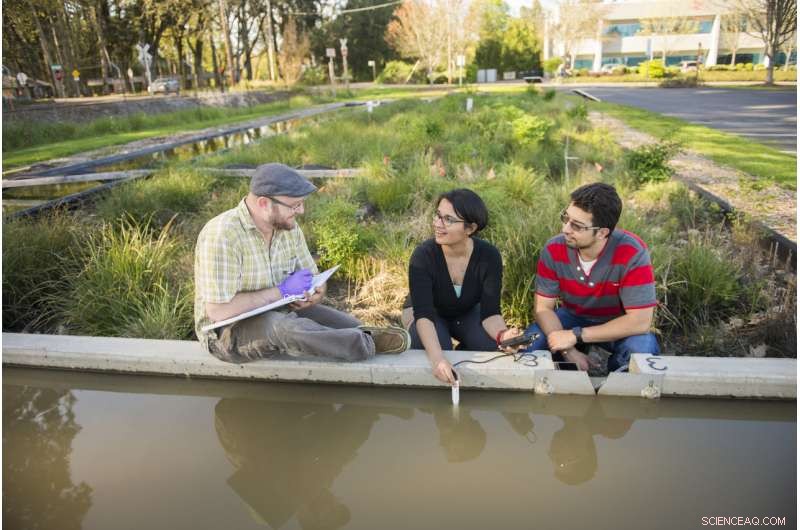 Harnessing Human-Computer Collaboration for Innovative Watershed Solutions