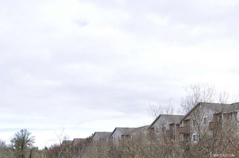 Harnessing Human-Computer Collaboration for Innovative Watershed Solutions