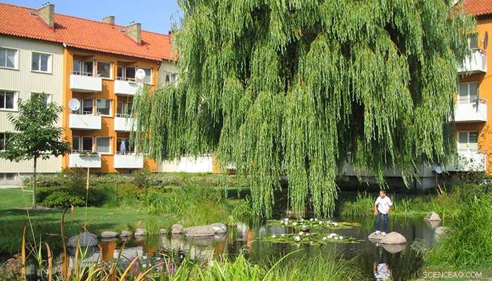 Harnessing Nature for Sustainable Flood Management