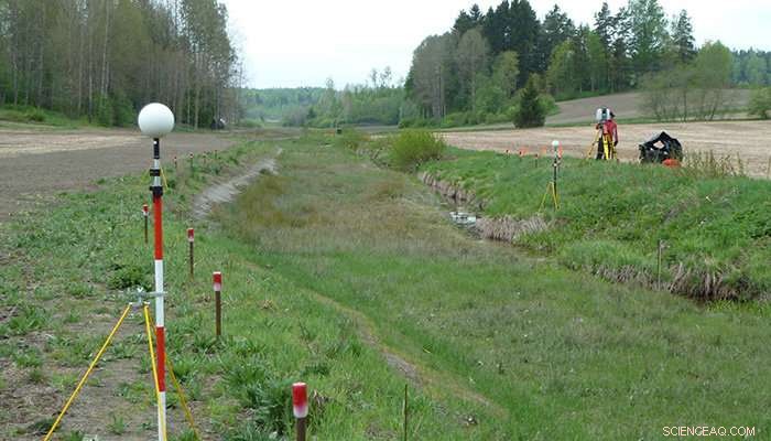 Harnessing Nature for Sustainable Flood Management