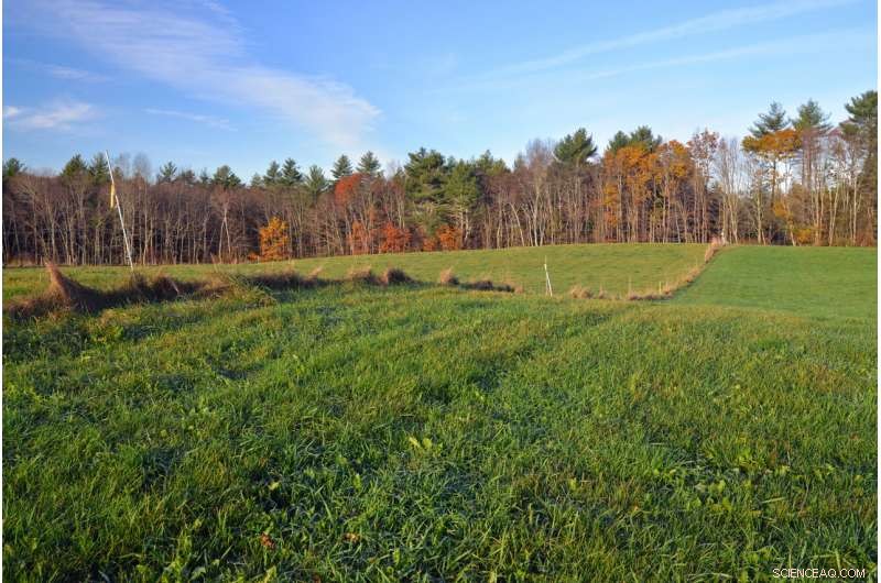 New Study Reveals Landscape Ridges as Clues to Ice Age and Climate Change