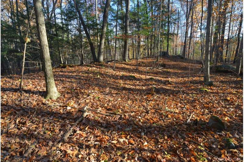 New Study Reveals Landscape Ridges as Clues to Ice Age and Climate Change