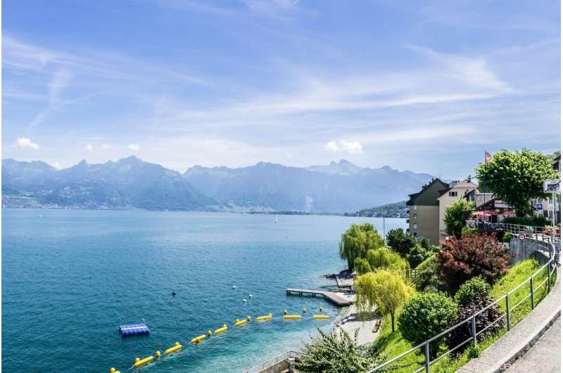 Tracing the Healthy Origins of the Bottled Water Industry