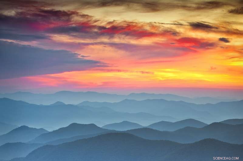 Wood Pellets: Renewable Energy, Yet Not Carbon Neutral